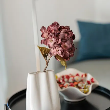 Apartamento Golden Tulip *