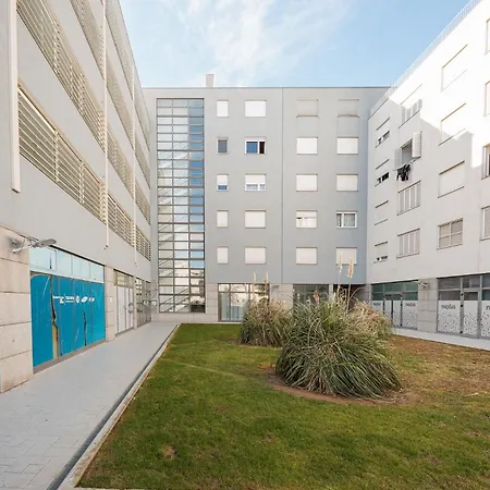 Golden Tulip * Ζαντάρ